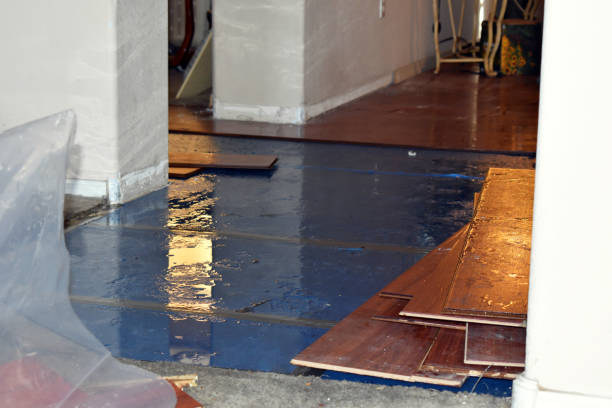 Professional Basement Water Removal technician working in Shelby, MI