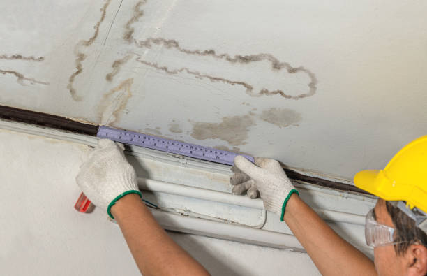 Reliable Basement Water Removal contractor in Shelby, MI by Water Damage Irwin